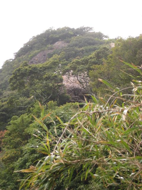 d0147727_20164874.jpg