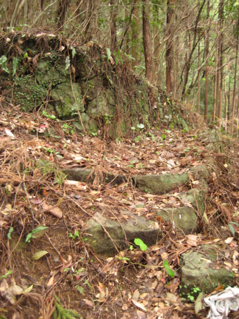 d0147727_20193424.jpg