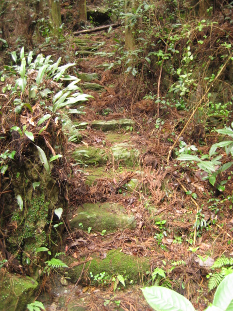 d0147727_20235793.jpg