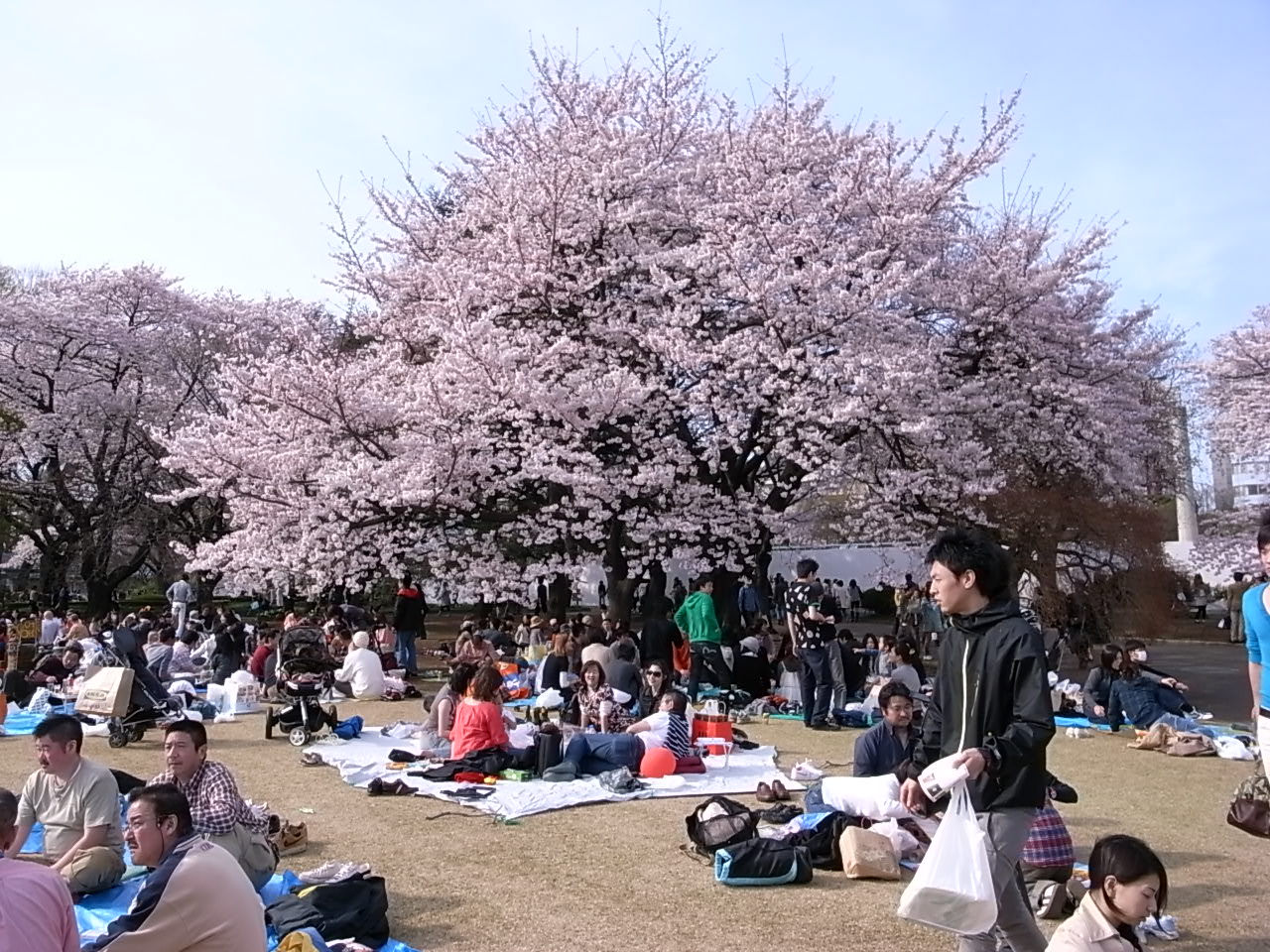 c0175528_1814870.jpg