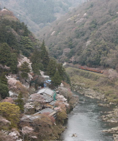 f0054428_2334592.jpg