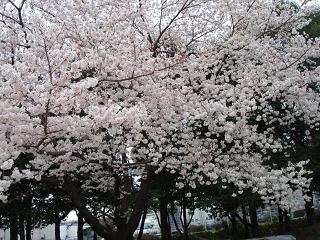 湘南vsFC東京@平塚競技場(観戦)_b0000829_18123164.jpg