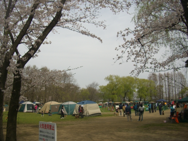 c0123029_16015.jpg