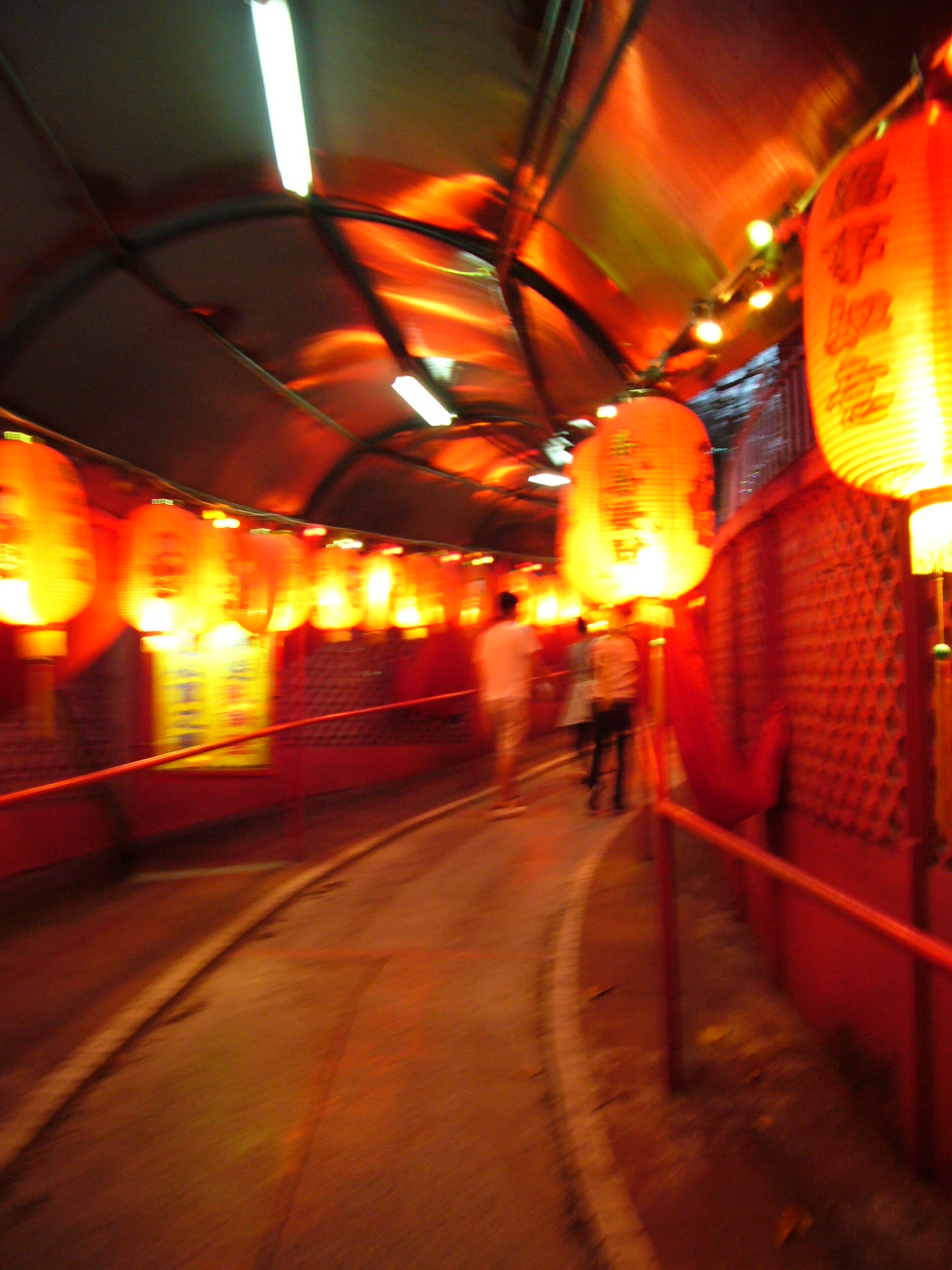 b0165130_20132672.jpg