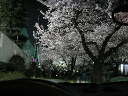 d0045432_8141632.jpg
