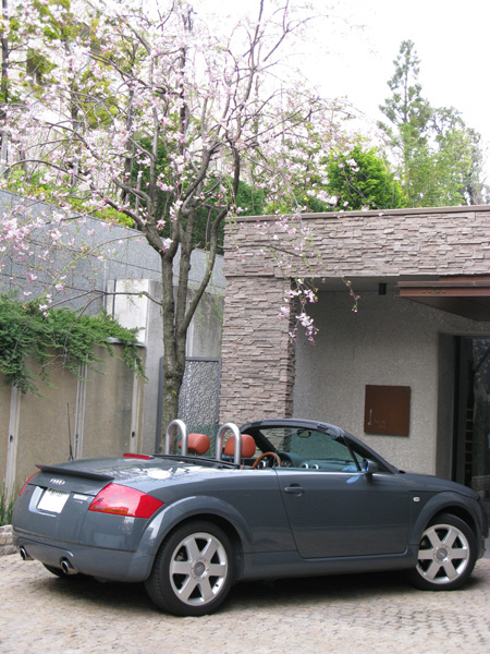 d0045432_81778.jpg