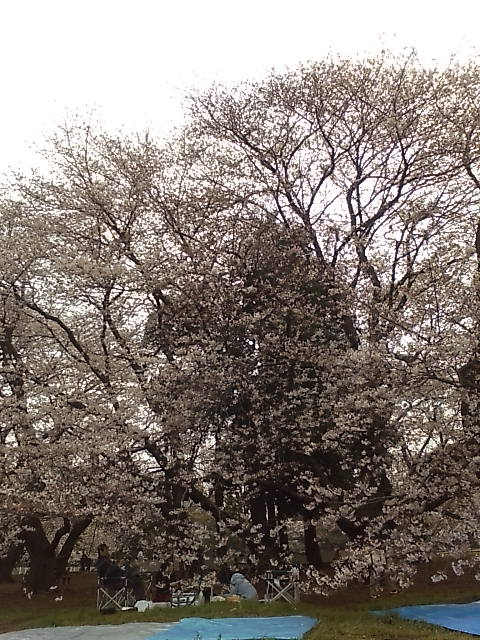 a0058433_21433770.jpg