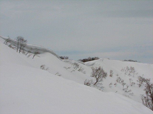 阿能川岳♪_b0097836_22227100.jpg