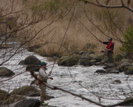a0056140_17162598.gif