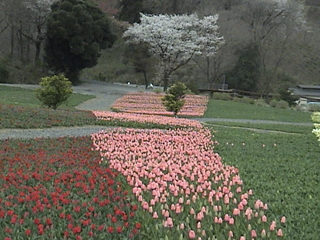 a0106340_13333790.jpg