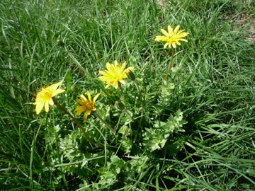 d0136540_2261537.jpg
