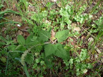 d0136540_2291631.jpg