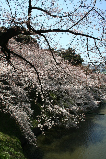 f0174244_18393256.jpg