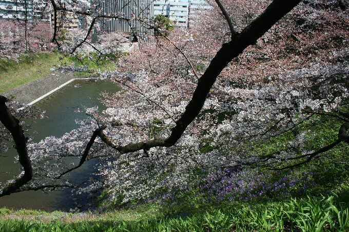 f0174244_18395579.jpg