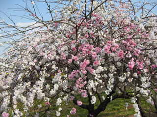 b0134745_16565357.jpg