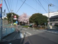 目印な花_e0080345_18323860.jpg