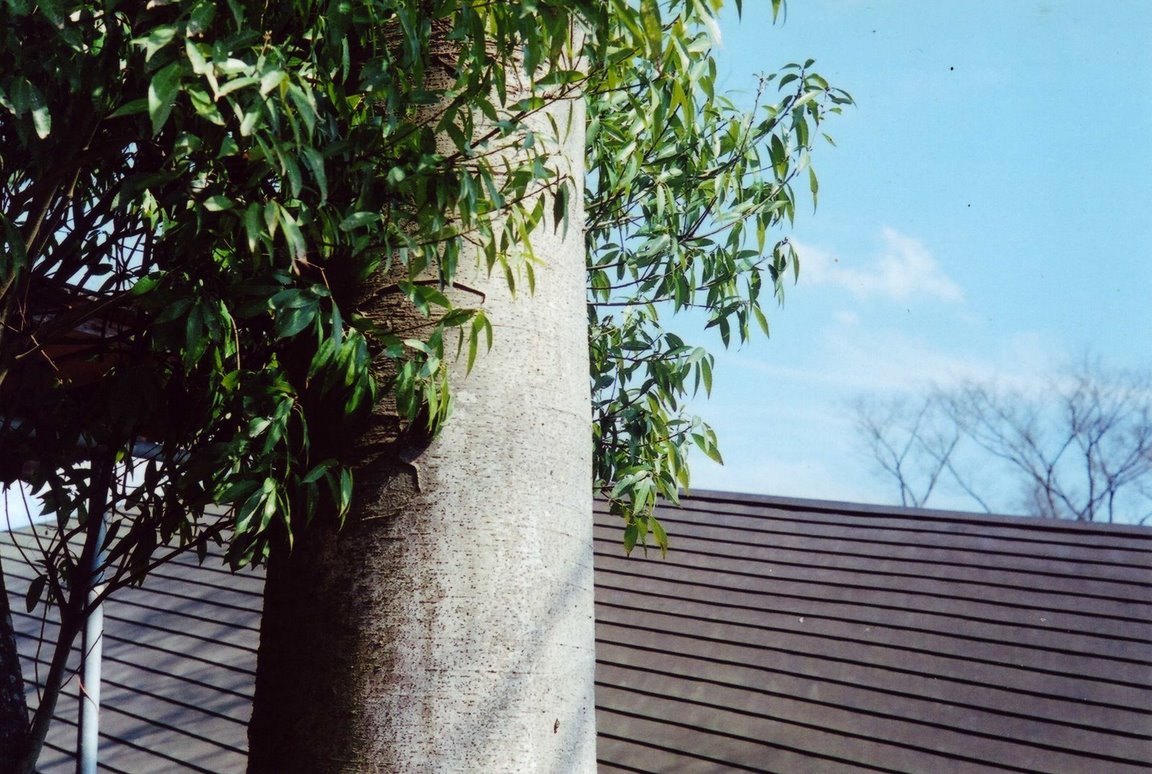 f0170545_20512112.jpg
