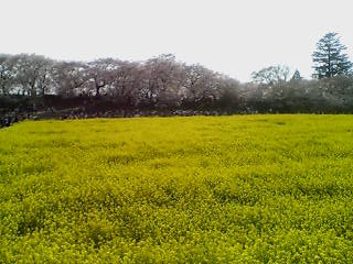 b0017147_02225.jpg