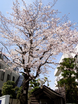 c0180650_23173286.jpg