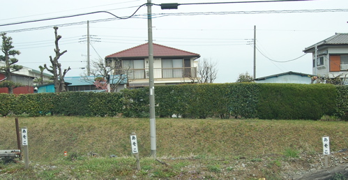 f0021654_16153254.jpg