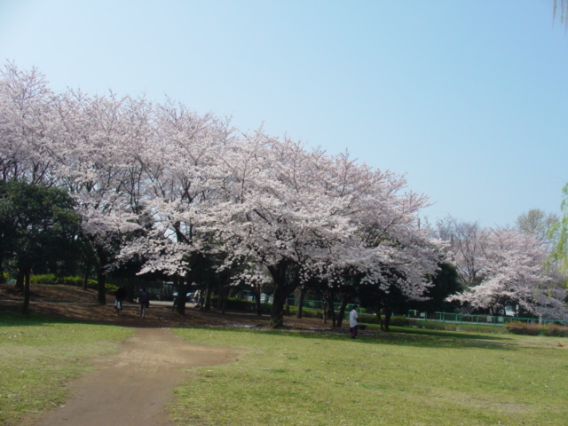 d0143957_1471630.jpg