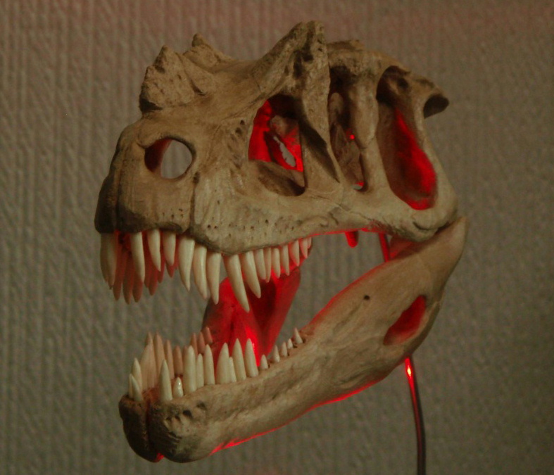 e0064457_2146181.jpg
