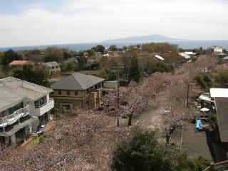 d0111558_1515535.jpg