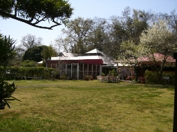 d0111558_153126.jpg