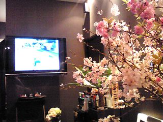 f0181159_1311937.jpg