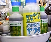 ご紹介_b0164360_1740223.jpg