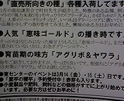 ご紹介_b0164360_1740406.jpg