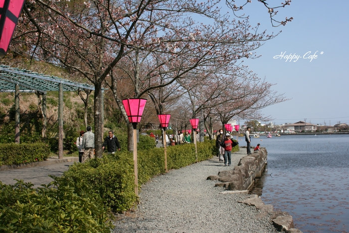 蓮花寺池公園にて・・・_e0148667_17122684.jpg