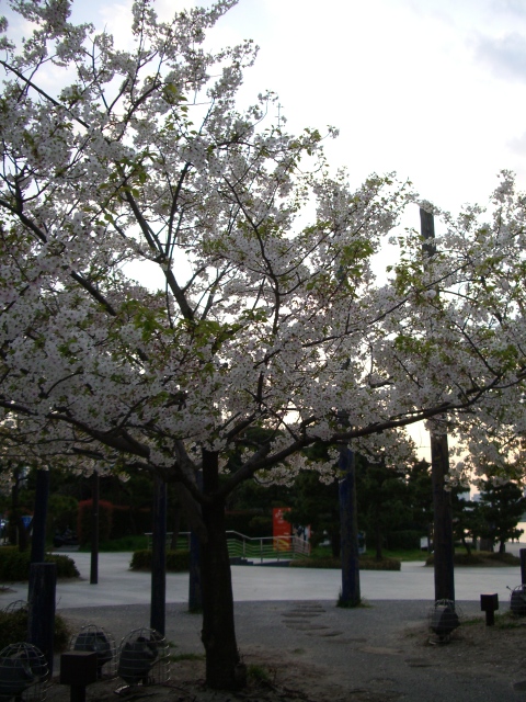 f0188572_18331322.jpg