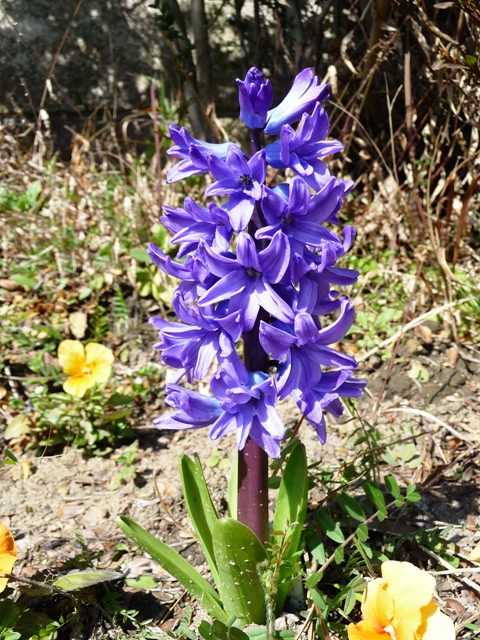 d0042474_0403066.jpg