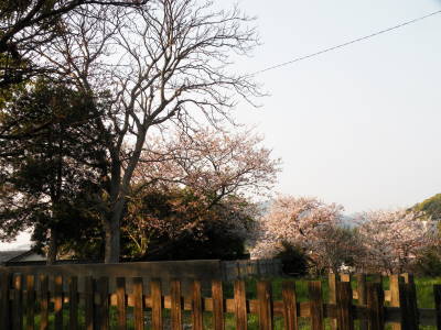c0193077_22515210.jpg