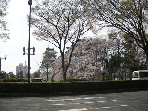 e0066883_22263167.gif