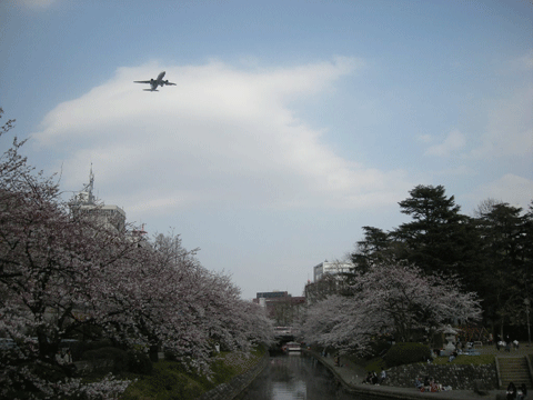 e0066883_22281641.gif