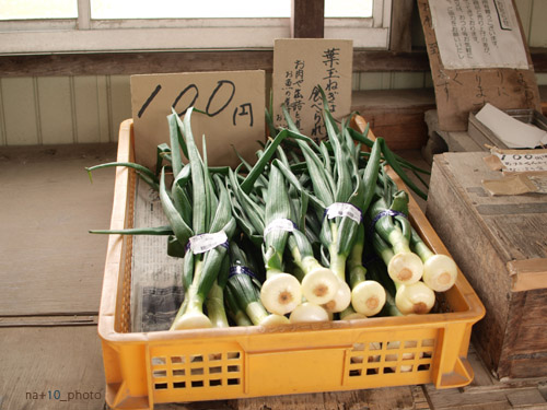 お野菜売ってます。_b0168984_2262537.jpg