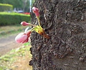 e0017290_21261140.jpg