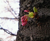 e0017290_21263913.jpg