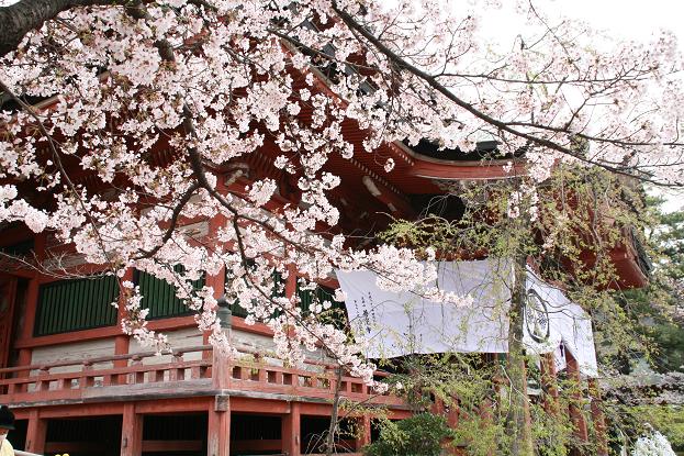 六善光寺　御開帳 甲斐善光寺_b0107691_5523344.jpg