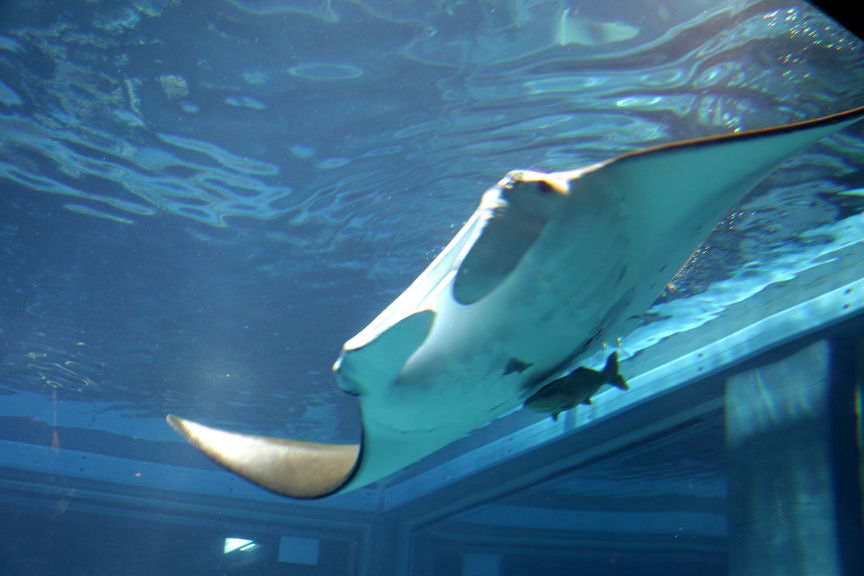 f0195893_6541874.jpg