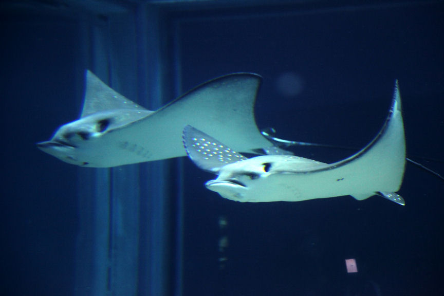 f0195893_6585794.jpg