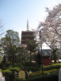 浅草_a0091095_2044599.jpg