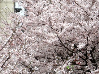 a0091095_20461892.jpg