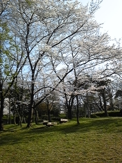 f0017897_23354385.jpg