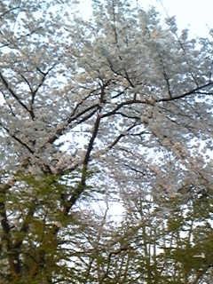 f0017897_23354999.jpg