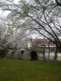 f0017897_23375221.jpg