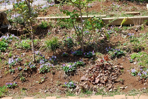 c0124100_18392111.jpg