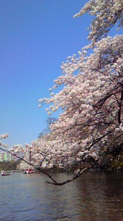 f0058300_21472395.jpg
